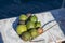 New harvest of fresh ripe macadamia nuts in green shell and blue ocean water on background