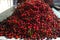 New harvest of fresh ripe red sweet cherry, street market in Italy