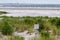 New Jersey Beach Bird Temporary Nesting Protected Conservation Area refuge