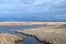 New Jersey Coastal Salt Marsh