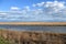 New Jersey Coastal Salt Marsh