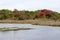 New Jersey Marsh