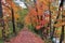 New Jersey trail in autumn leaves foliage