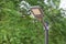 New large steel lamp poles set up in the park installed with solar cells.