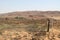 New life beginnings after a veld fire on a farm in the Vredefort Dome area  near Parys.