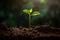 New Life Emerging: Saplings Growing in Sunlit Soil. created with Generative AI