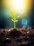 New Life Emerging: Young Plant Sprouting from Sunlit Soil AI Generated