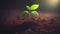 New life plant tree flower seedling growing on planet Mars