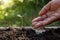 New life plants growing from seeds on fertile soil and farmer`s hands irrigating trees