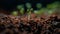 New life sprouts from wet soil, thriving generated by AI