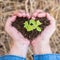 New life with volunteer planting young tree bud growing on soil in farmer person`s hands in heart shape for nature, go green