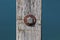 New metal bolt on completely rusted flat washer and old dilapidated faded narrow wooden board surrounded with calm blue river