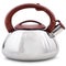 A new metallic teapot with a brown handle on a white background