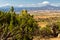 New Mexico desert landscape