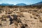 New Mexico desert landscape, gypsum crystals around a dried Lucero Lake