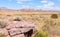 New Mexico high plains landscapes