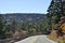 New Mexico road in fall