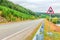 New modern asphalt road. Sign Driving cattle