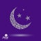 New Moon placed on a starry sky beautiful art vector illustration