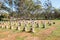 New Norcia Cemetery Crosses