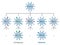 The new Omicron variants Centaurus BA.2.75 and Aeterna BA.4.6 are schematically represented on the Omicron genetic family tree.