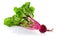New organic beet with green leaf