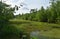 New Orleans Bayou on an Early Spring Day