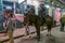 New Orleans, LA/USA - circa February 2016: Mounted Police riding horses during Mardi Gras in New Orleans, Louisiana