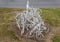 New Orleans, Louisiana, U.S.A - February 4, 2020 - Ghost Bike Memorial near Esplanade Avenue