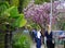 New Orleans, Louisiana, U.S.A - February 4, 2020 - Tourists on the walking tour underneath beautiful magnolia trees by The Garden