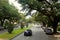 New Orleans, Louisiana, U.S.A - February 4, 2020 - The view of the traffic on the street with live oak trees by The Garden