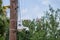 New Orleans Police Department`s crime camera on utility pole
