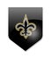 New orleans saints team