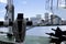 New Orleans Skyline from Mississippi Riverboat