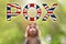 A new outbreak of viral infection in UK, monkey pox. Little monkey look at text POX with british flag. The concept of
