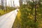 New pathway and beautiful trees track for running or walking and cycling relax in the park on green grass field in the city park