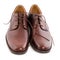 New polished brown shoes