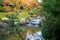 A new pond garden or yoko-en of Taizo-in temple at autumn. Kyoto. Japan