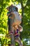 A new popular children`s attraction is an extreme spruce with flying children of adolescence.