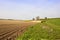 New potato rows and bridleway