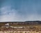 A new rain adding color to the Arizona desert