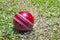 New Red Cricket Ball On Patchy Grass Lawn