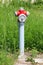 New red and grey metal fire hydrant with four caps connected with short chains surrounded with tall uncut grass
