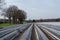 New season on white asparagus fields in Germany, Netherlands covered with plastic film in lines. Growing of white asparagus