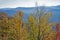 New section of the Foothills Parkway in fall colors.