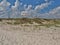 New Smyrna Beach Dunes and Sky
