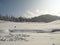 New snow from Gulmarg Kashmir India with pine tree