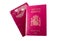 New spanish passport over old expired one