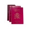 New spanish passport over old expired ones