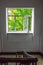 New staircase window with open sash overlooking the bright green foliage of the tree and the upper floors of the